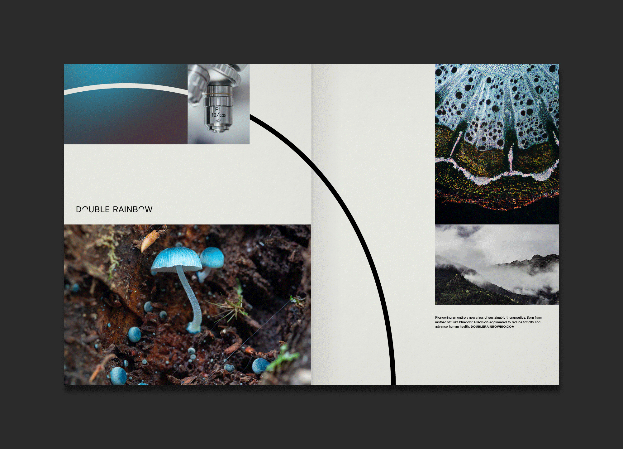 Double Rainbow Case Study 17