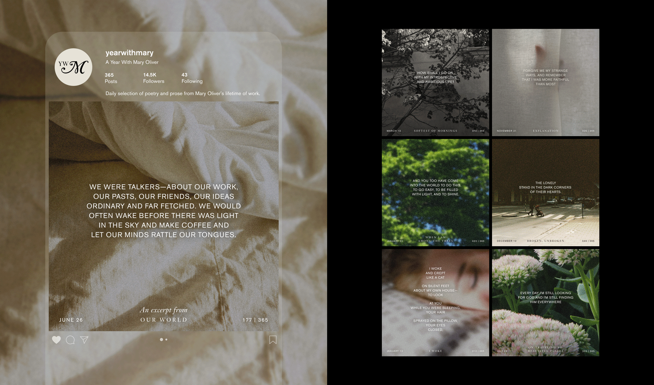 STA100 2026 YWM Templates